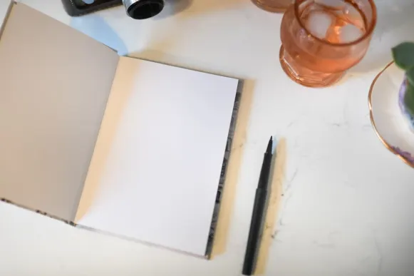 Kazino Mint Bingo Atbalsts